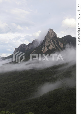 Ulsan rock, Soraksan mountain, Goseong county, Gangwon province 31701262