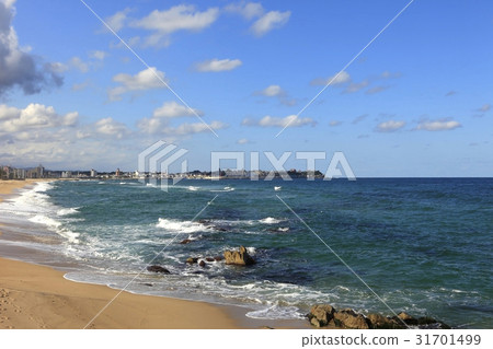 Joungjin, Gangneung, Gangwon-do 31701499