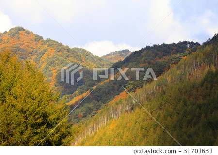 Inje County, Gangwon Province 31701631