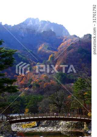 Seorak-dong, Soraksan, Sokcho, Gangwon-do 31701792