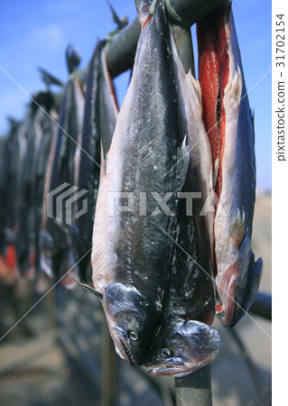 Sokcho, Gangwon-do Sokcho, Gangwon-do 31702154