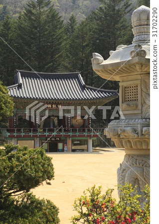 Pyeongchang, Pyeongchang, Gangwon-do Pyeongchang, Pyeongchang, Gangwon-do 31702290