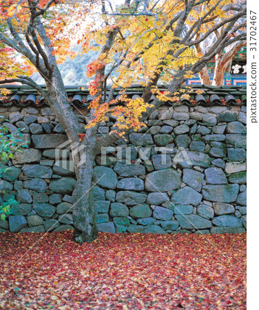 Geumsansa, Gimje, Jeonbuk Geumsansa, Gimje, Jeonbuk 31702467