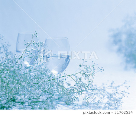 杯 杯 31702534