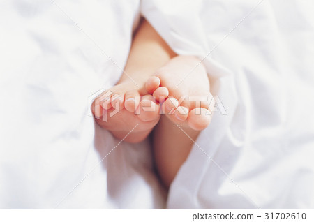 足(足) 腳趾 純 31702610