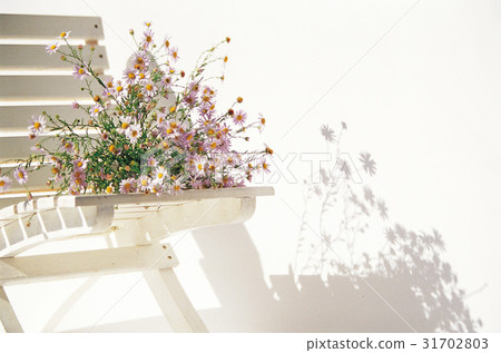 A stupid person 31702803