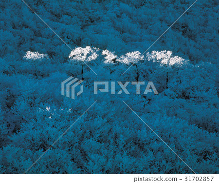 Nogodan, Jirisan, Gurye-gun, Jeonnam 31702857