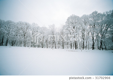 首爾瑞草區Seonchon-gun 31702908