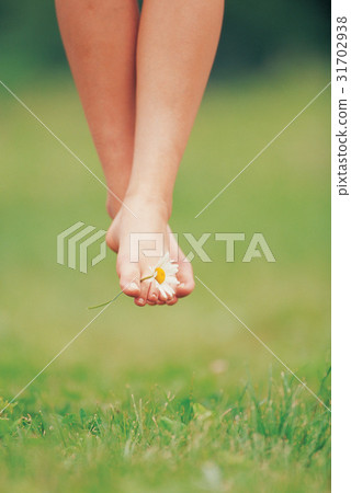 花 腿（腿） 足（足） 31702938