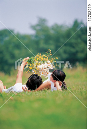 花束 束 躺 31702939