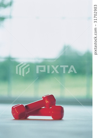 dumbbell 31702983
