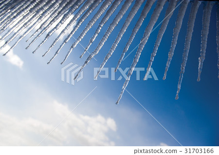 winter, icicle, Low angle 31703166