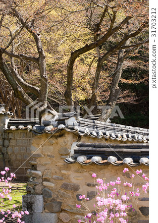 Dosan Seowon, Andong City, Gyeongbuk 31703212