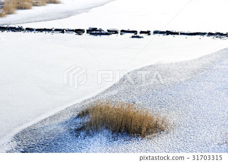 Stepping Bridge, Boryeong, Chungnam Stepping Bridge, Boryeong, Chungnam 31703315