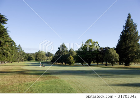 Golf course, Auckland, New Zealand Golf course, Auckland, New Zealand 31703342