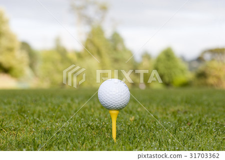 Golf ball 31703362