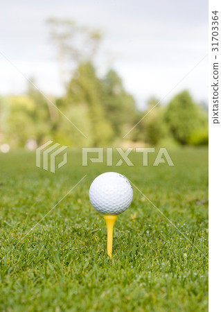Golf ball 31703364