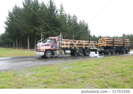 Rotorua, North Island, New Zealand 31703398