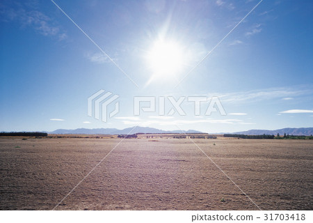 新西蘭南島 新西蘭南島 31703418