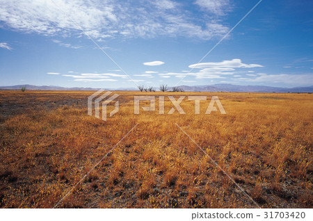 South Island, New Zealand 31703420