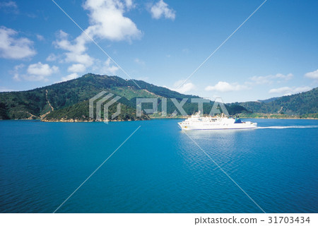 Cruise ships, South Island, New Zealand 31703434