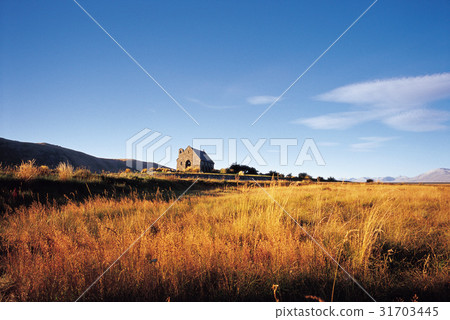 South Island, New Zealand 31703445