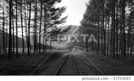 Jeongseon-gun, Gangwon-do 31703685