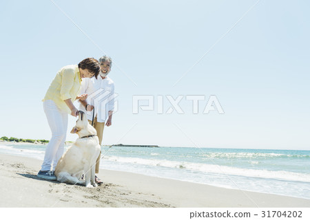 Senior couple and dog beach Senior couple and dog beach 31704202