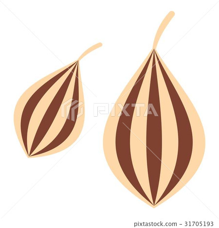 Ajwain icon isolated Ajwain icon isolated 31705193
