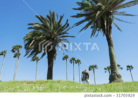 資深夫婦旅行熱帶國家 31705929