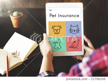 Adopt Animals Best Friends Icon 31706208