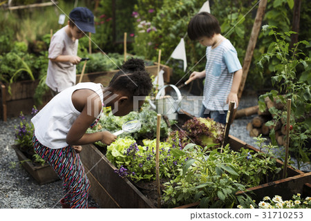 Group of children planting vegetable in greenhouse 31710253