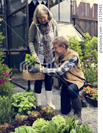 People Planting Harvest Garden Green 31710483