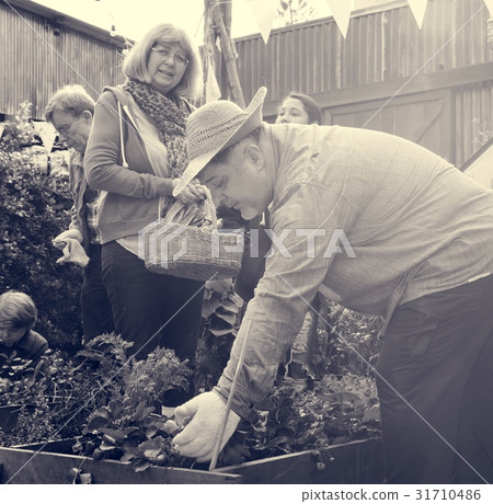 Group of people gardening backyard together Group of people gardening backyard together 31710486