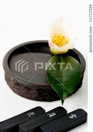 山茶花和黑色墨水 31713588