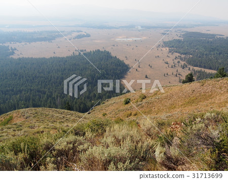 Grand Teton 31713699