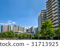 Mansion 31713925