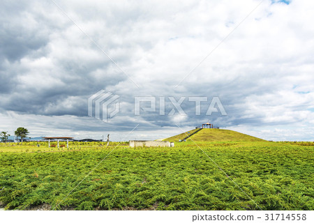 山·東日本大地震紀念公園的一千年希望 山·東日本大地震紀念公園的一千年希望 31714558