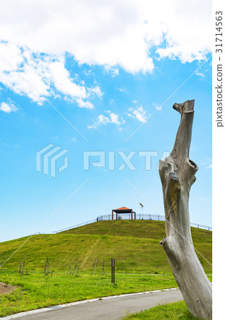 A thousand year hope of hill · East Japan great earthquake memorial park A thousand year hope of hill · East Japan great earthquake memorial park 31714563