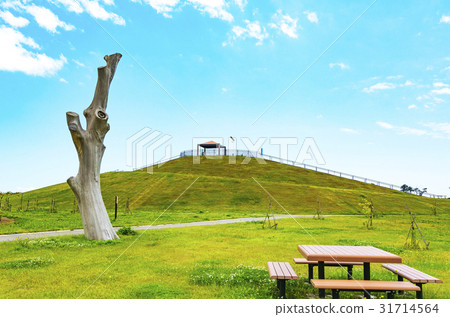 山·東日本大地震紀念公園的一千年希望 31714564