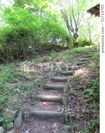 Walking path of the Nerikawa Valley Walking path of the Nerikawa Valley 31714705