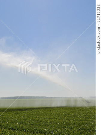 Water irrigation on Field Flevoland 31715338