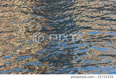 Water Light Refelections in Evening Water Light Refelections in Evening 31715339