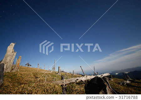 Otagogahara,夜景 Otagogahara,夜景 31716788