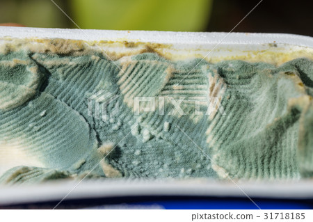Closeup on rotten fresh cheese tub edge Closeup on rotten fresh cheese tub edge 31718185