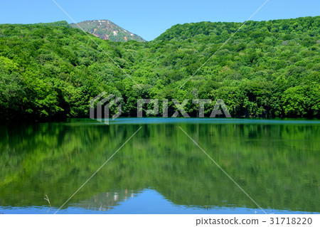 Early summer Ikuma Aomori Prefecture 31718220