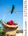 Cherry in a basket is hanging on clothespin 31719076