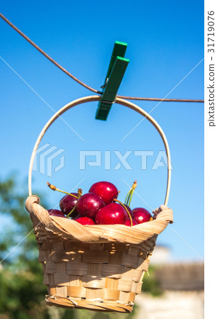 Cherry in a basket is hanging on clothespin Cherry in a basket is hanging on clothespin 31719076