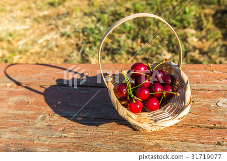 Cherry in the basket Cherry in the basket 31719077