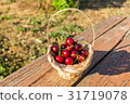 Cherry in the basket 31719078
